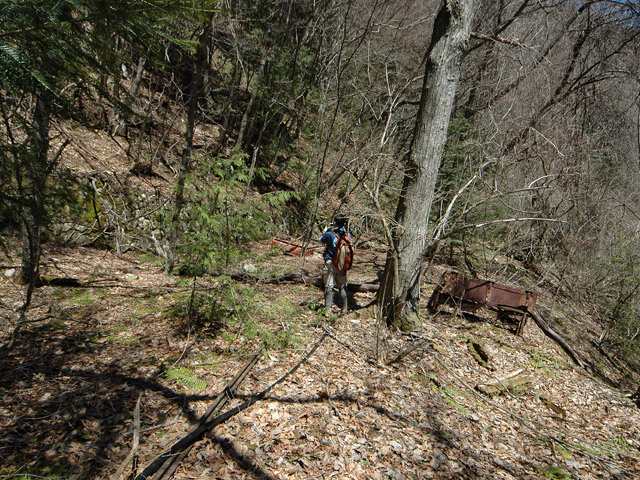 ���͐X�ѓS��,�ѓS,�p����,�㕔�O��,����,���[��,����c�я�