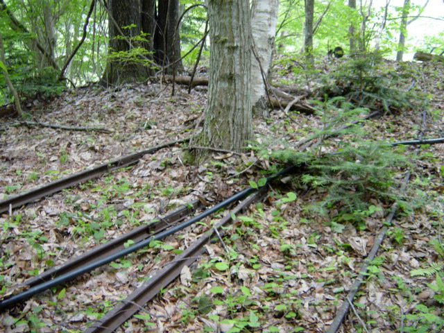 ���͗ѓS,�X�ѓS��,�p����,�㕔�O��,�x�����ԏ�,���͍���