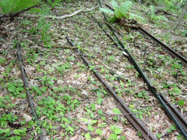 ���͗ѓS,�X�ѓS��,�p����,�㕔�O��,�x�����ԏ�,���͍���