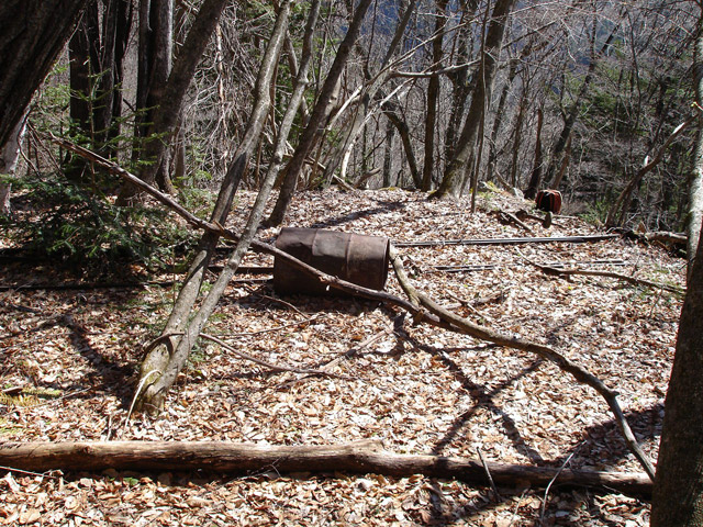 ���͗ѓS,�X�ѓS��,�p����,�㕔�O��,�x�����ԏ�,�|�C���g,����