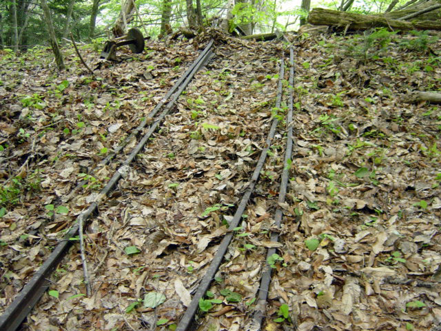 ����X�ѓS�����͐�,�ѓS,�X�ѓS��,�p����,�㕔�O��,�x�����ԏ�