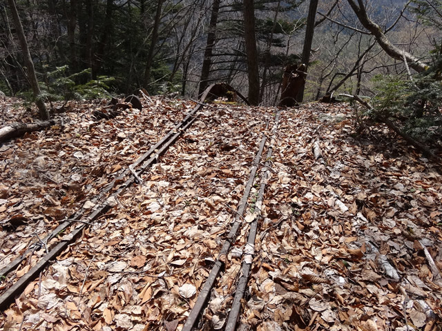 ����X�ѓS�����͐�,�ѓS,�X�ѓS��,�p����,�㕔�O��,�x�����ԏ�