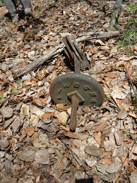 ����X�ѓS�����͐�,�ѓS,�X�ѓS��,�p����,�_���}�]�Q�@,��背�[������