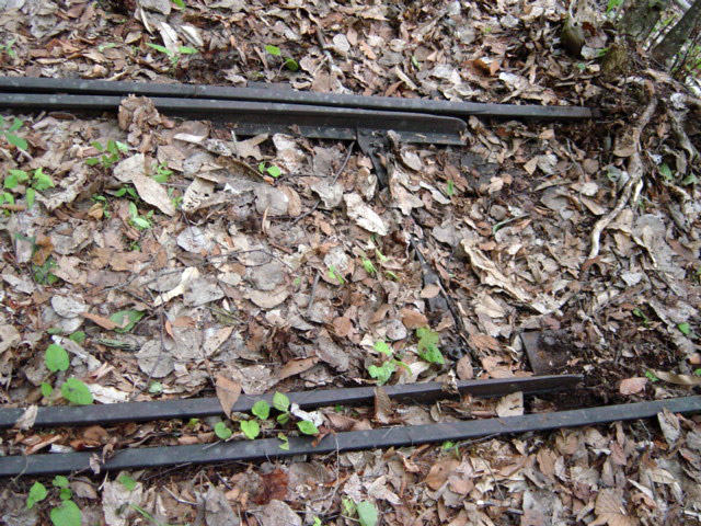 ���͗ѓS,�X�ѓS��,�p����,�g���O���[��,�����,�|�C���g,��[�O��