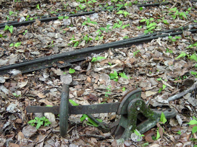 ����X�ѓS�����͐�,�ѓS,�X�ѓS��,�p����,�_���}�]�Q�@,��背�[������