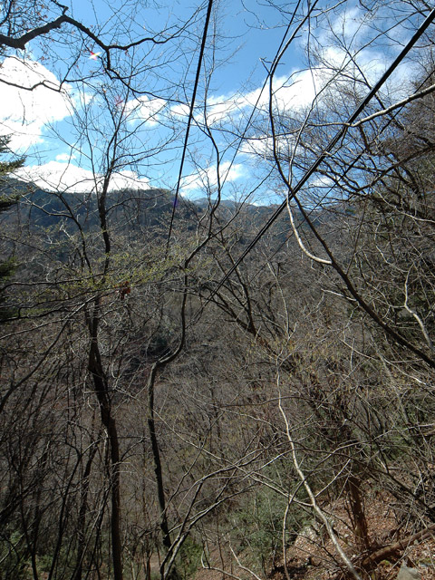 ����X�ѓS�����͐�,�ѓS,�p����,���͍���,�x�����ԏ�,������