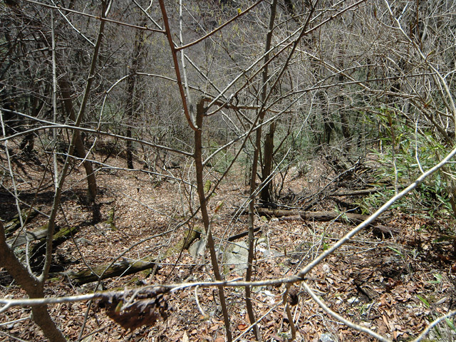 ����X�ѓS�����͐�,�ѓS,�p����,���͍���,�x�����ԏ�,������