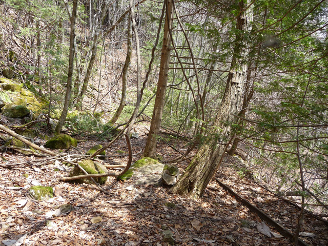 ����X�ѓS�����͐�,�ѓS,�p����,�ѓ�,�O����