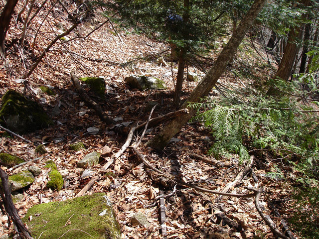 ����X�ѓS�����͐�,�ѓS,�p����,�ѓ�,�O����