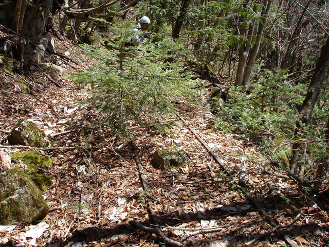 ���͐X�ѓS��,�ѓS,�p����,����c�я�,�㕔�O��,���[��