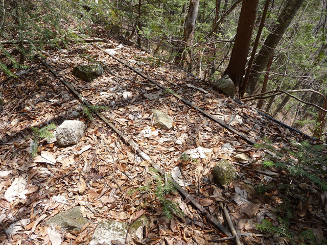 ���͐X�ѓS��,�ѓS,�p����,����c�я�,�㕔�O��,���[��