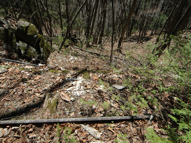 ���͐X�ѓS��,�ѓS,�p����,����c�я�,�㕔�O��,���[��