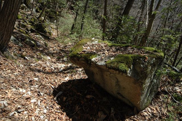 ���͐X�ѓS��,�ѓS,�p����,����c�я�,�㕔�O��,���[��