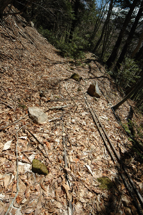 ���͐X�ѓS��,�ѓS,�p����,����c�я�,�㕔�O��,���[��