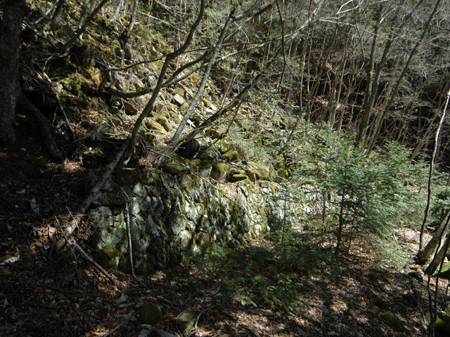 ���͐X�ѓS��,�ѓS,�p����,����c�я�,�㕔�O��,�Ί_