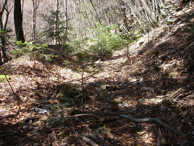 ���͐X�ѓS��,�ѓS,�p����,����c�я�,�㕔�O��,�Ί_