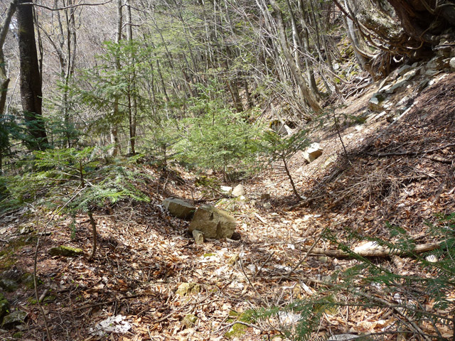 ���͐X�ѓS��,�ѓS,�p����,����c�я�,�㕔�O��,�Ί_