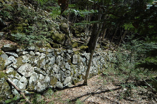 ���͐X�ѓS��,�ѓS,�p����,����c�я�,�㕔�O��,�Ί_