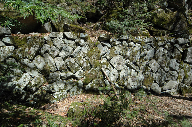 ���͐X�ѓS��,�ѓS,�p����,����c�я�,�㕔�O��,�Ί_