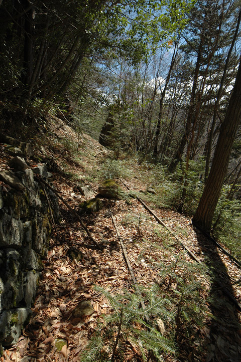 ���͗ѓS,�X�ѓS��,�p����,�㕔�O��,����,�؂�ʂ�