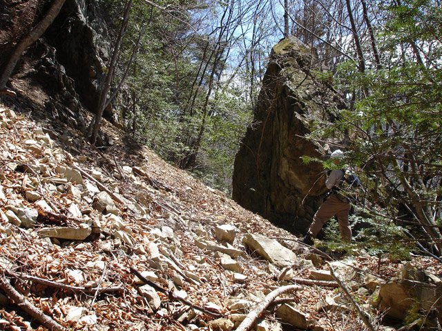 ���͗ѓS,�X�ѓS��,�p����,�㕔�O��,����,�؂�ʂ�