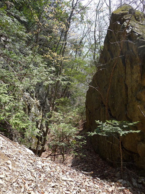 ���͗ѓS,�X�ѓS��,�p����,�㕔�O��,����,�؂�ʂ�