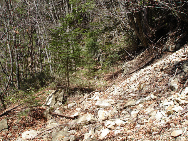 ���͗ѓS,�X�ѓS��,�p����,�㕔�O��,����,�؂�ʂ�