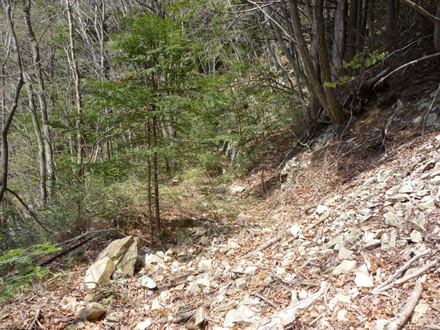 ���͗ѓS,�X�ѓS��,�p����,�㕔�O��,����,�؂�ʂ�