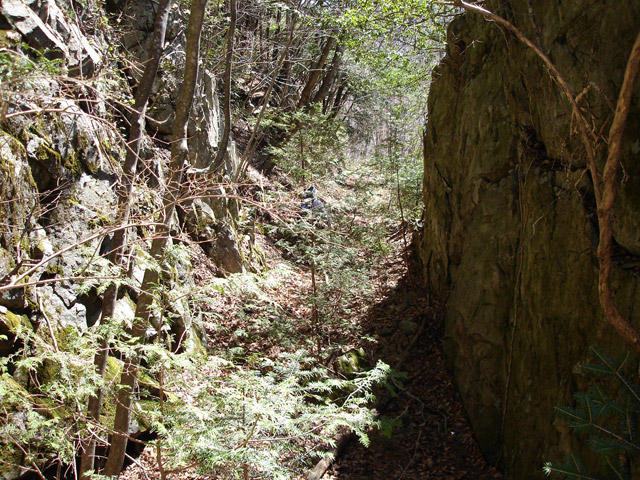 ����X�ѓS�����͐�,�ѓS,�p����,����,�؂�ʂ�