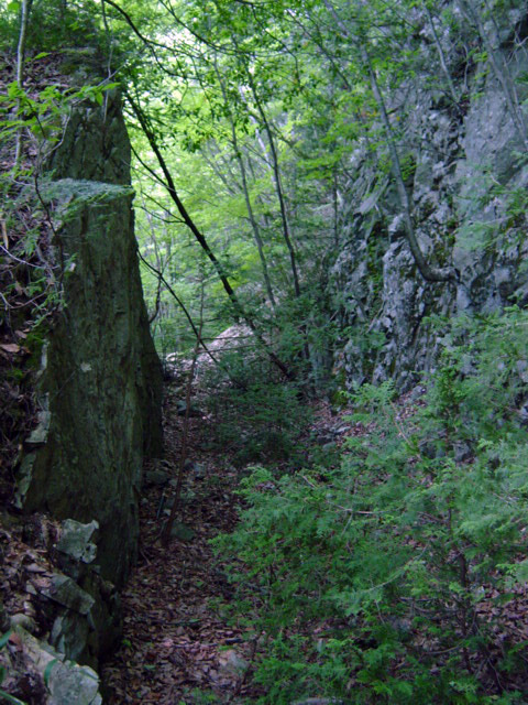 ����X�ѓS�����͐�,�ѓS,�p����,����,�؂�ʂ�