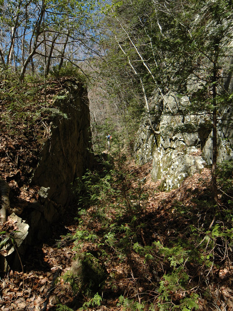 ����X�ѓS�����͐�,�ѓS,�p����,����,�؂�ʂ�