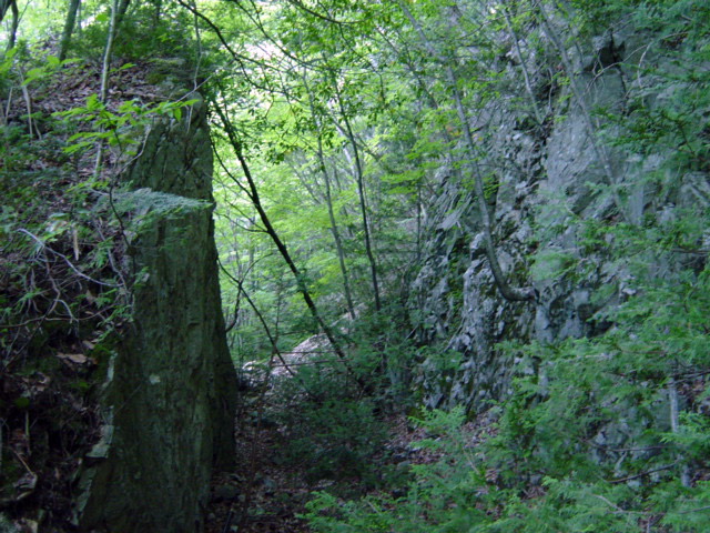 ����X�ѓS�����͐�,�ѓS,�p����,����,�؂�ʂ�