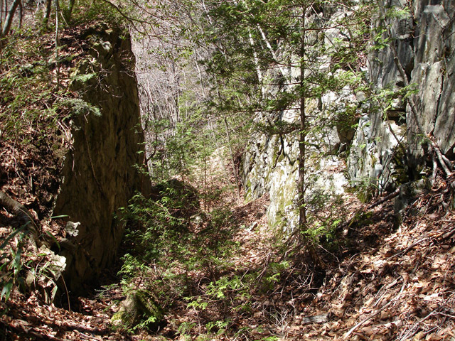 ����X�ѓS�����͐�,�ѓS,�p����,����,�؂�ʂ�