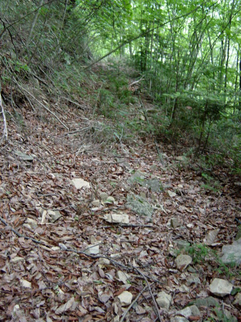 �ѓS,���͐X�ѓS��,�p����,�㕔�O��,����c�я�