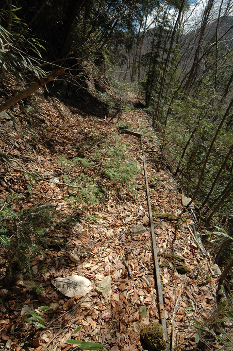 �ѓS,���͐X�ѓS��,�p����,�㕔�O��,����c�я�