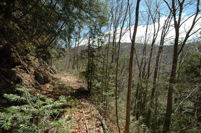 �ѓS,���͐X�ѓS��,�p����,�㕔�O��,����c�я�