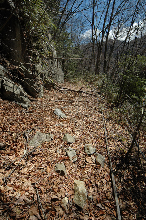 ����X�ѓS�����͐�,�ѓS,�p����,�㕔�O��,����,���H