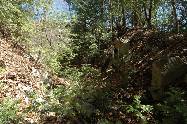 ����X�ѓS�����͐�,�ѓS,�p����,�㕔�O��,����