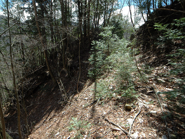 ����X�ѓS�����͐�,�ѓS,�p����,�㕔�O����