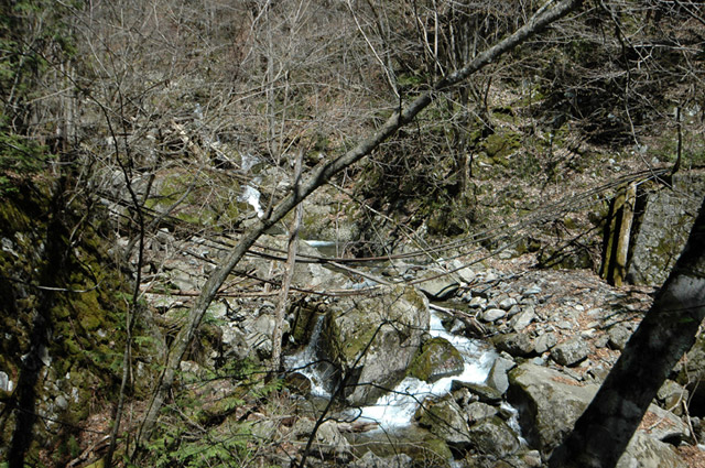 ����X�ѓS�����͐�,�ѓS,�p����,���͍���,�x�����ԏ�,������