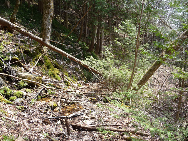 ���͐X�ѓS��,�ѓS,�p����,����c�я�,�O����