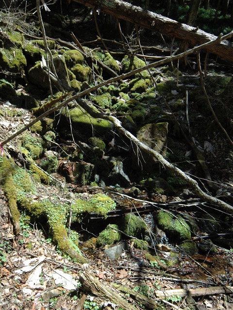 ���͐X�ѓS��,�ѓS,�p����,����c�я�,�O����