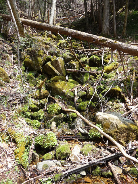 ���͐X�ѓS��,�ѓS,�p����,����c�я�,�O����