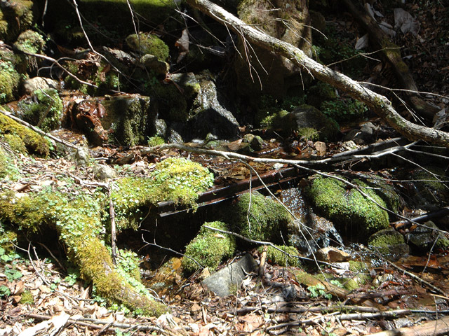 ���͐X�ѓS��,�ѓS,�p����,����c�я�,�O����