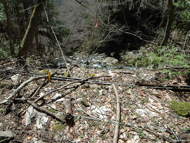 ���͐X�ѓS��,�ѓS,�p����,����c�я�,�O����