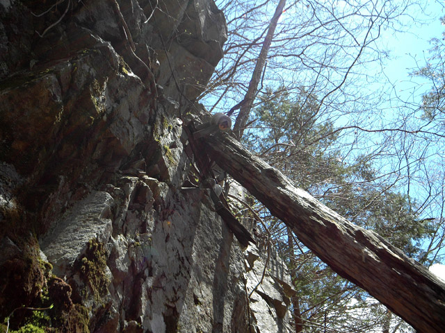 ����X�ѓS�����͐�,�ѓS,�p����,�O����,�ʐM��