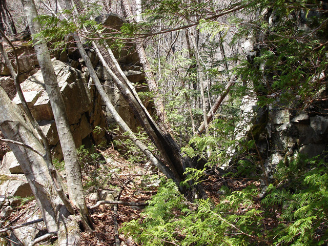 ���͐X�ѓS��,�ѓS,�p����,����c�я�,�㕔�O��,�O����