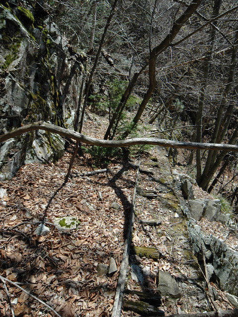 �ѓS,����X�ѓS�����͐�,�p����,�㕔�O��,���[��,���H