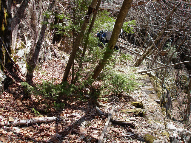 �ѓS,����X�ѓS�����͐�,�p����,�㕔�O��,���[��,���H