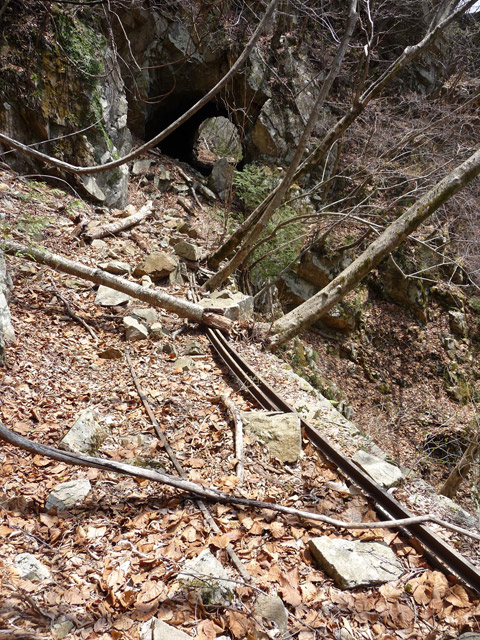 �ѓS,����X�ѓS�����͐�,�p����,�㕔�O��,���[��,���H